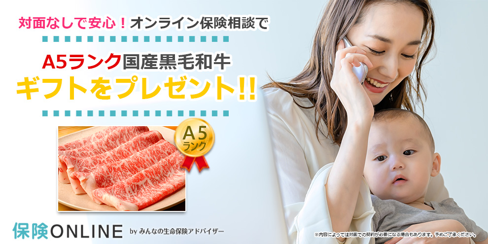 ヘッダ画像_みんなの生命保険アドバイザー
